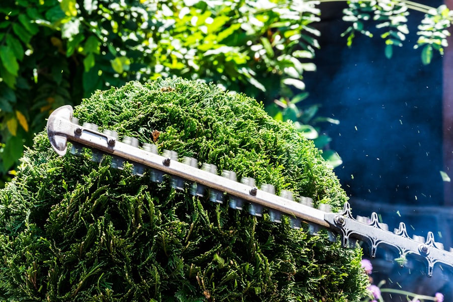 Hedge and shrub trimming in Ramsey, Minnesota
