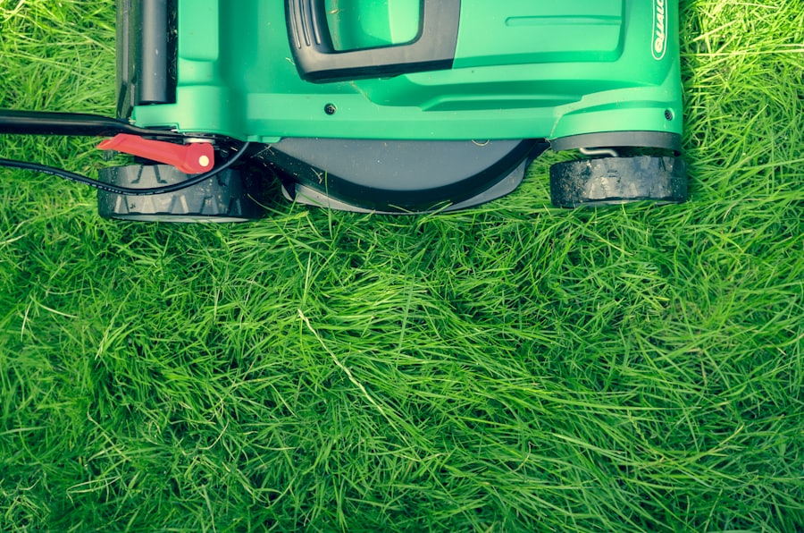 Lawn mower on fresh cut grass in Ramsey, Minnesota